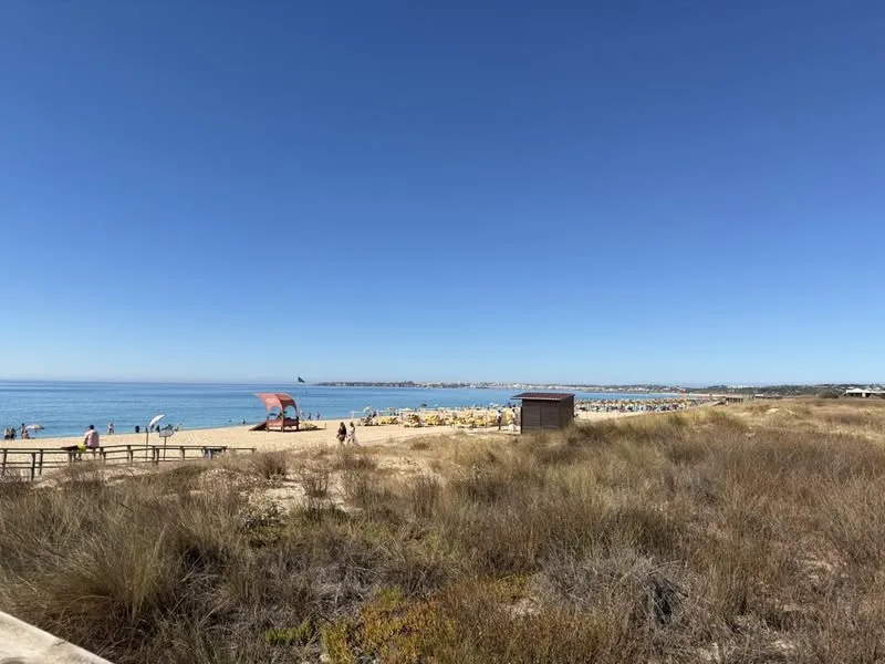 Pelican Alvor