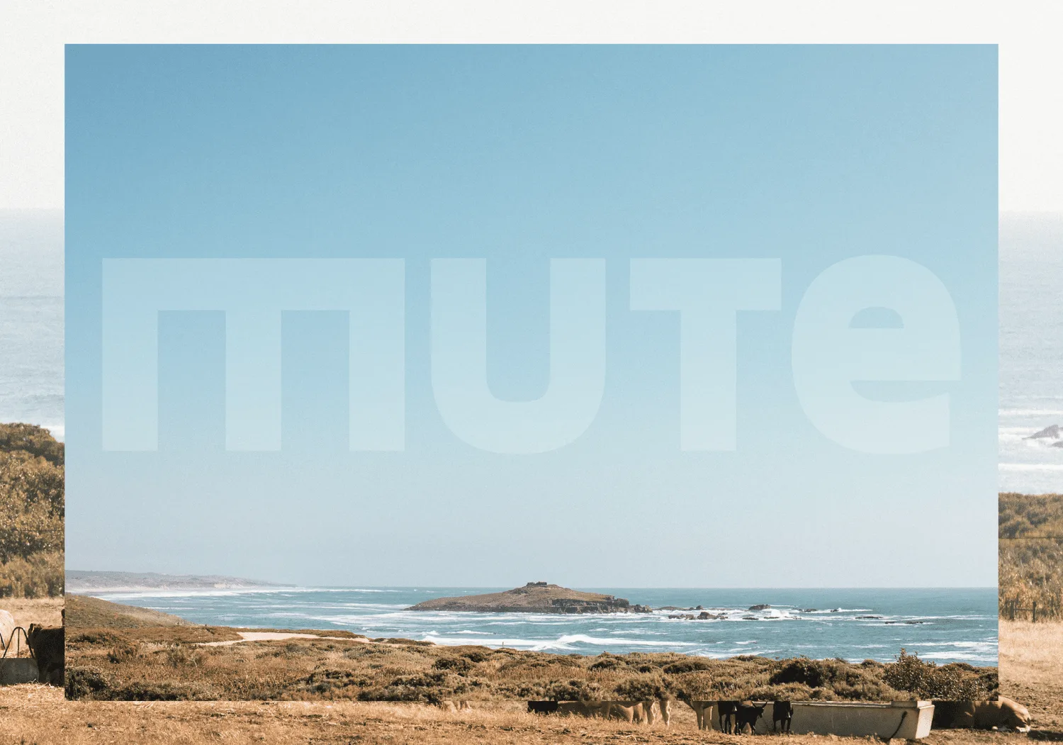 MUTE Hostel Milfontes