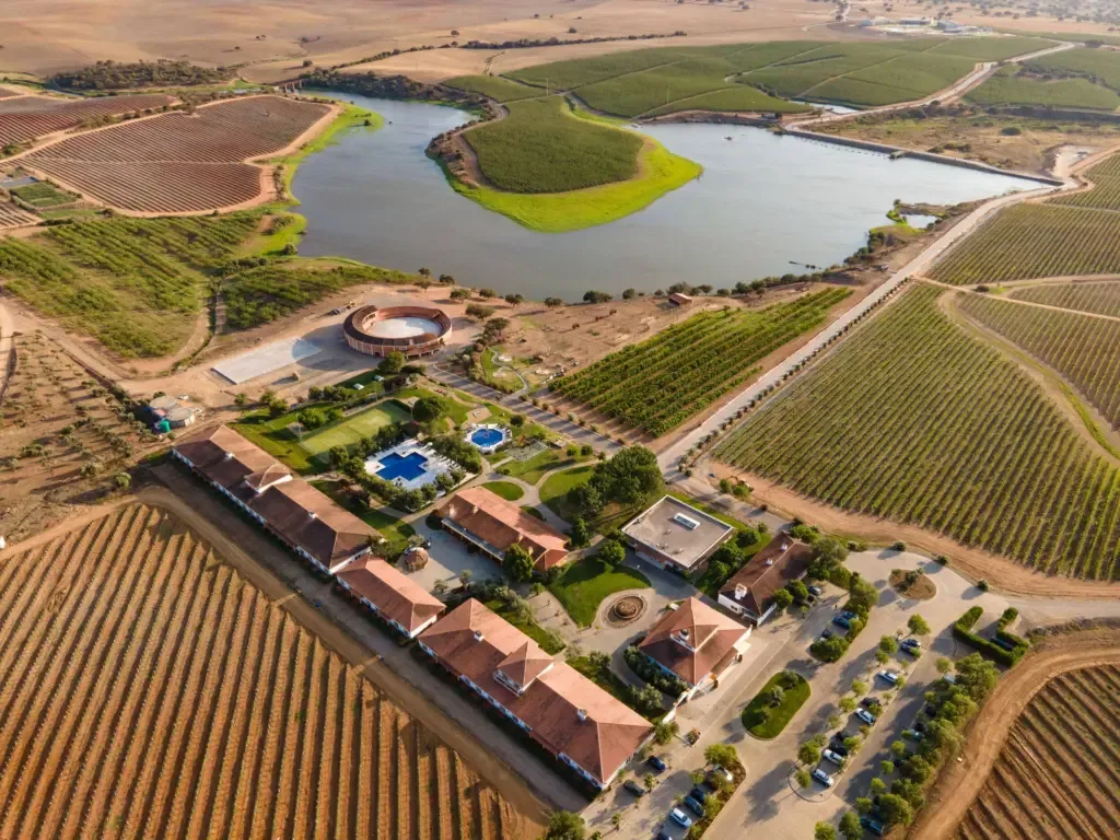 Vila Galé Alentejo Vineyards & Olive