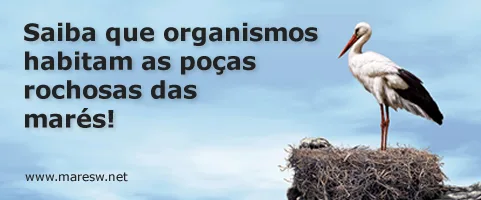 Quinta Pero Vicente