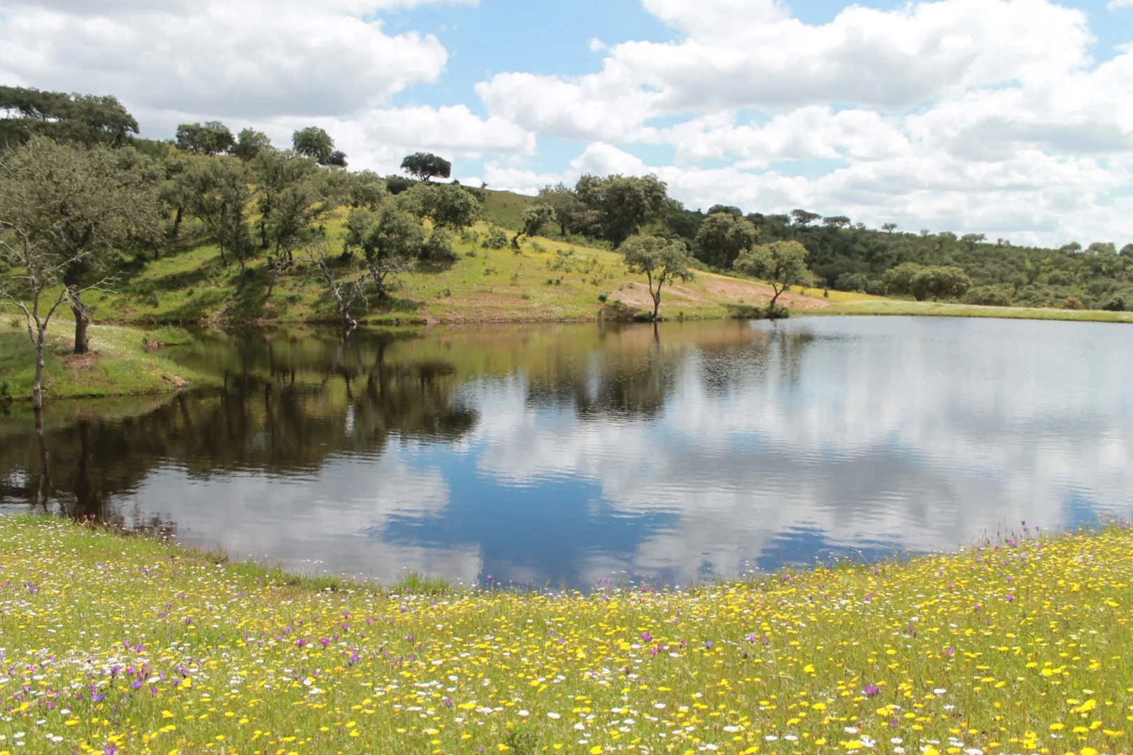 Agroturismo Xistos