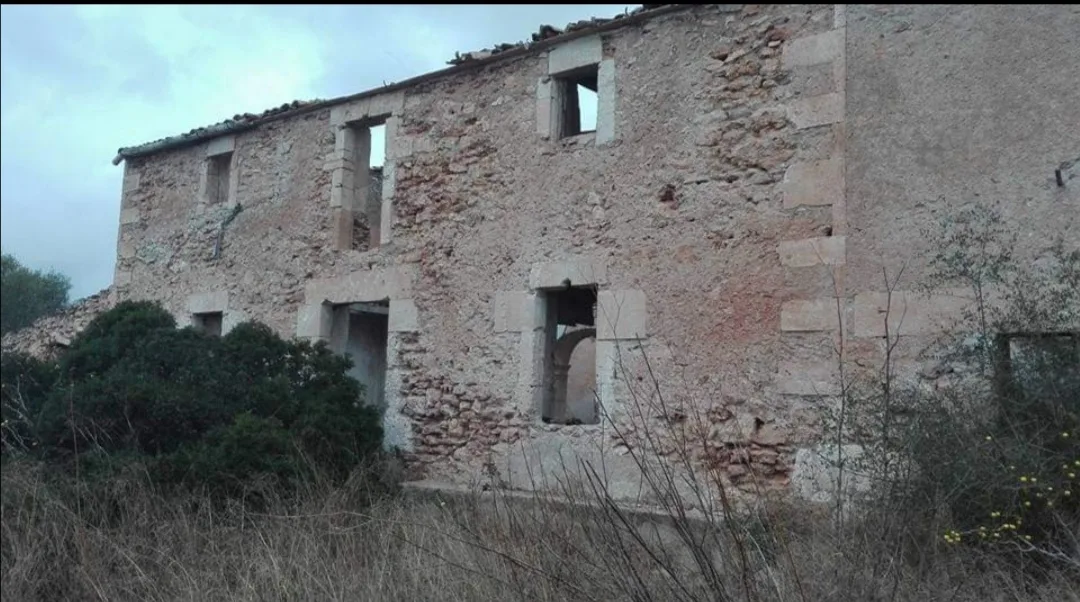 Club Hipocampo