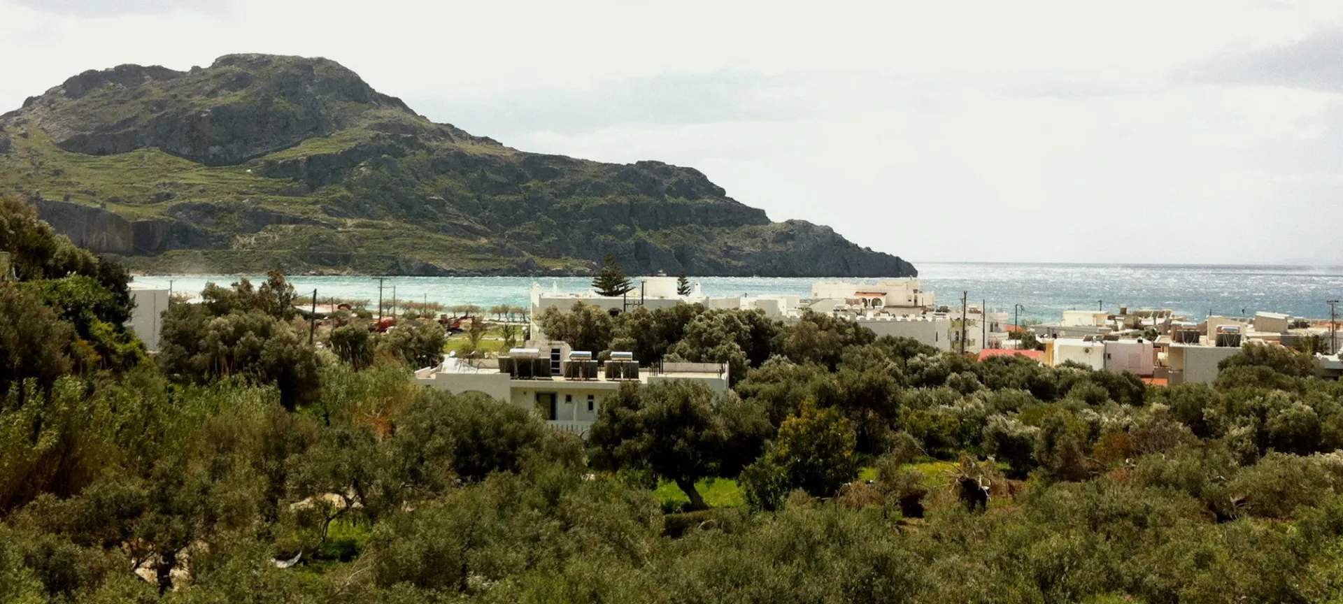 Emilia Apartments