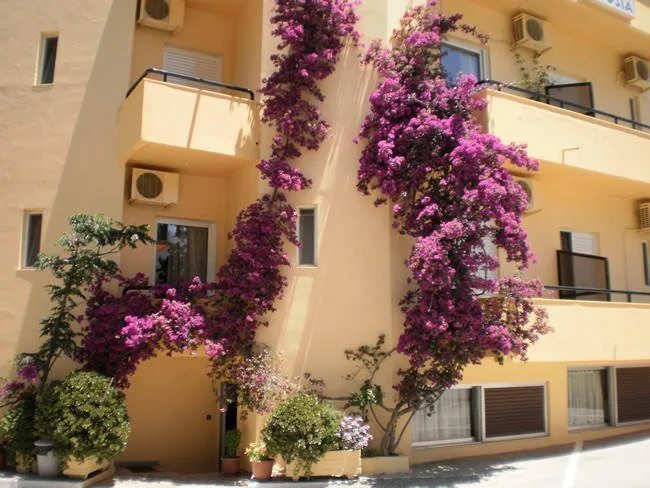 Hotel Drosia