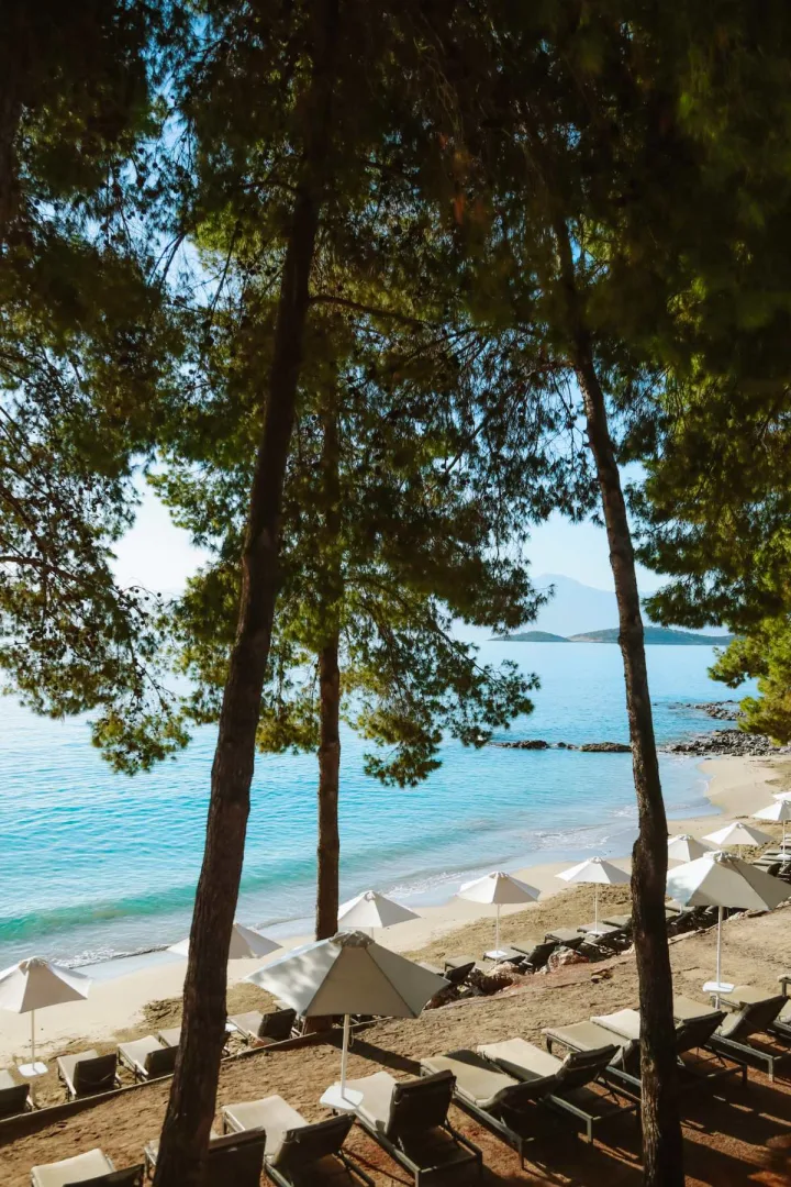 Serenity Blue Hotel