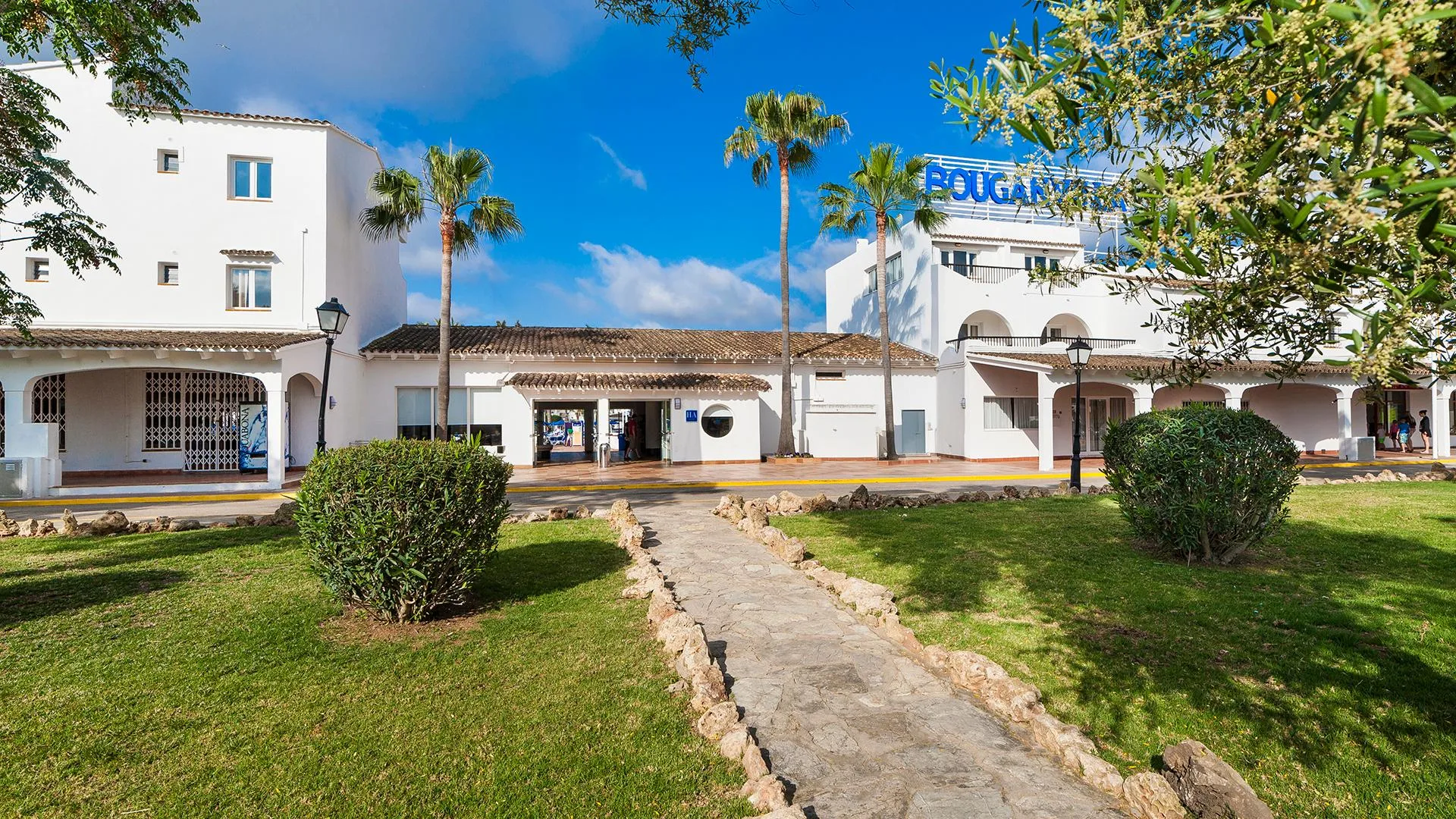 Globales Bouganvilla