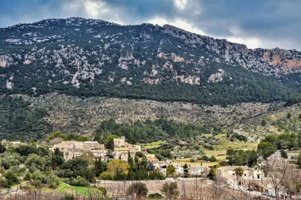 Camp d'aprenentatge d'Orient