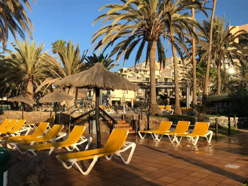 Orquídea Playa