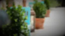 Villa Vegana