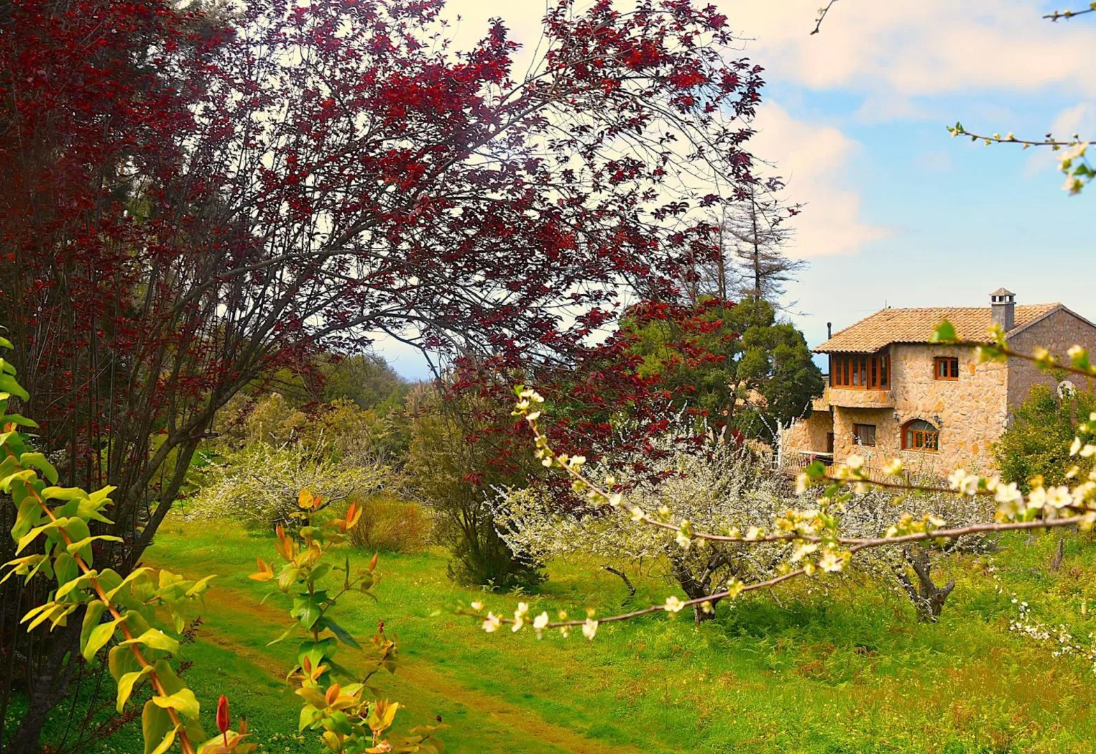 Casa rurale La Gustoza