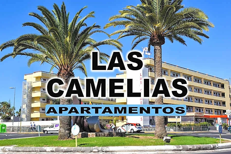 Apartamentos Las Camelias